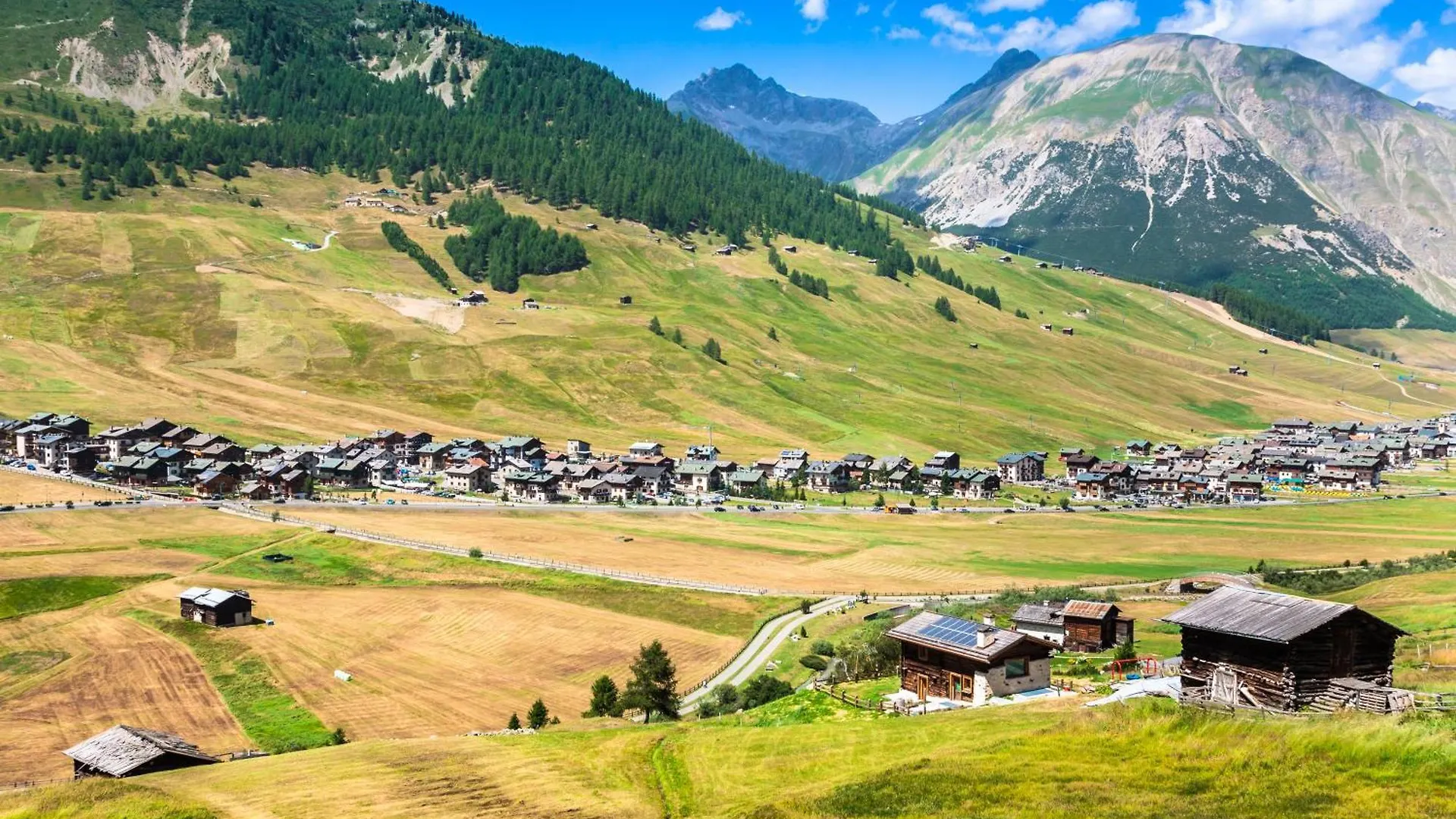 Marlies Ski In - Ski Out 50M - Happy Rentals Livigno 0*,  Italy